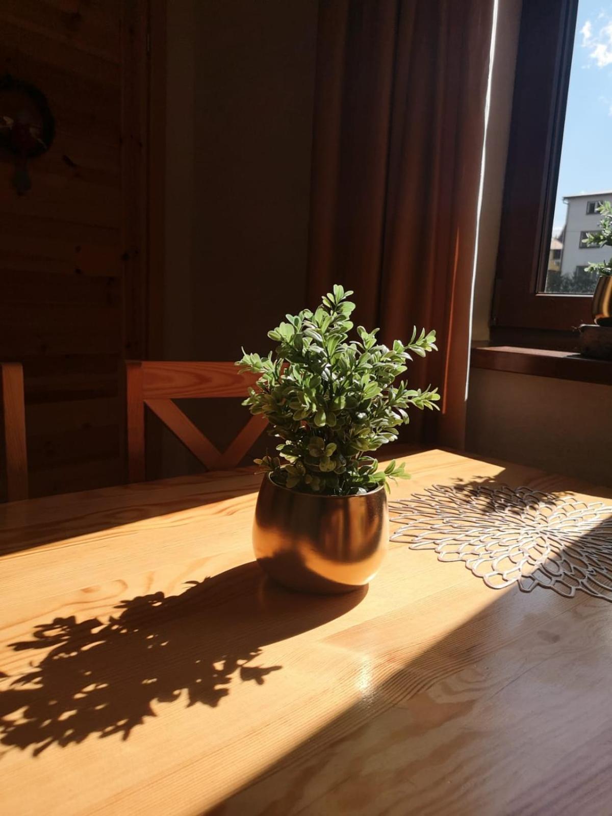 Zwardoniowka Apartamenty Pod Orawcowa Exterior foto